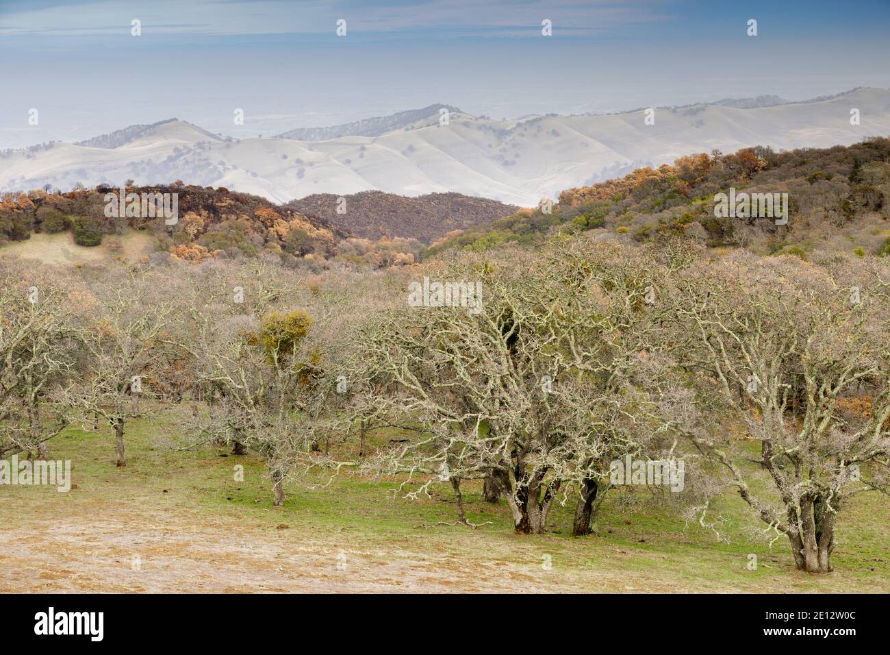Vues sur Blue Oaks, Rolling Hills, Diablo Range et California Central Valley via Livermore Banque D'Images