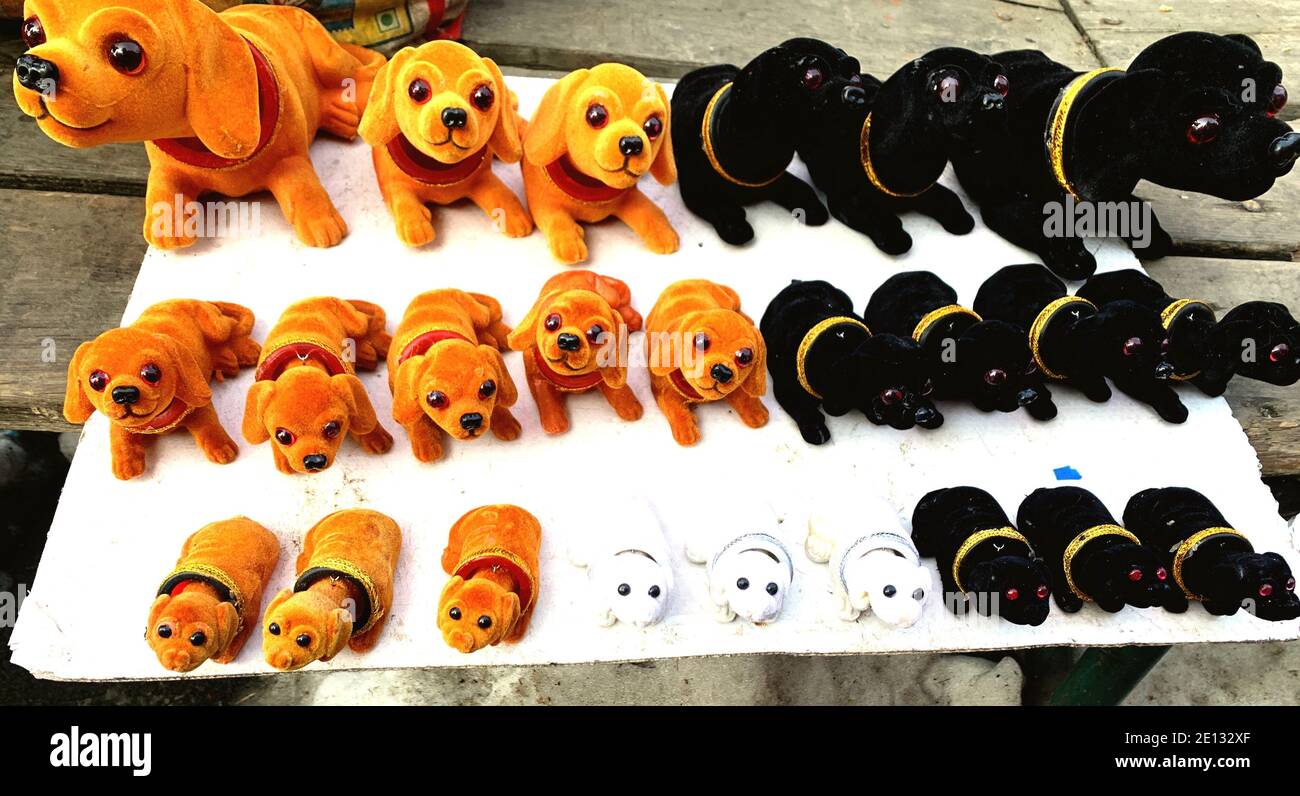 Dans cette image, les chiots ont montré Banque D'Images