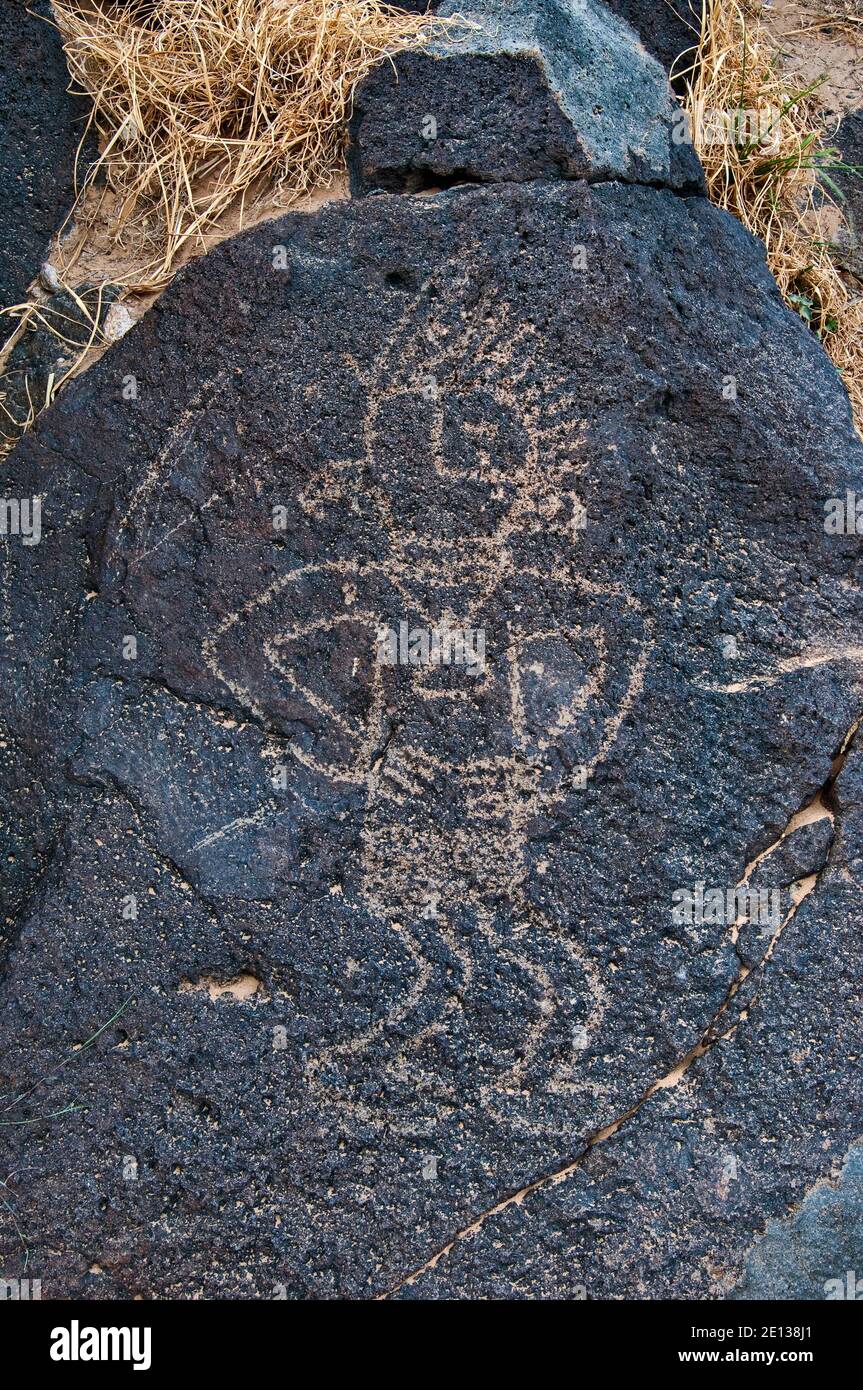 Pétroglyphes à Rinconada Canyon, Monument national Petroglyph, Albuquerque, New Mexico, USA Banque D'Images