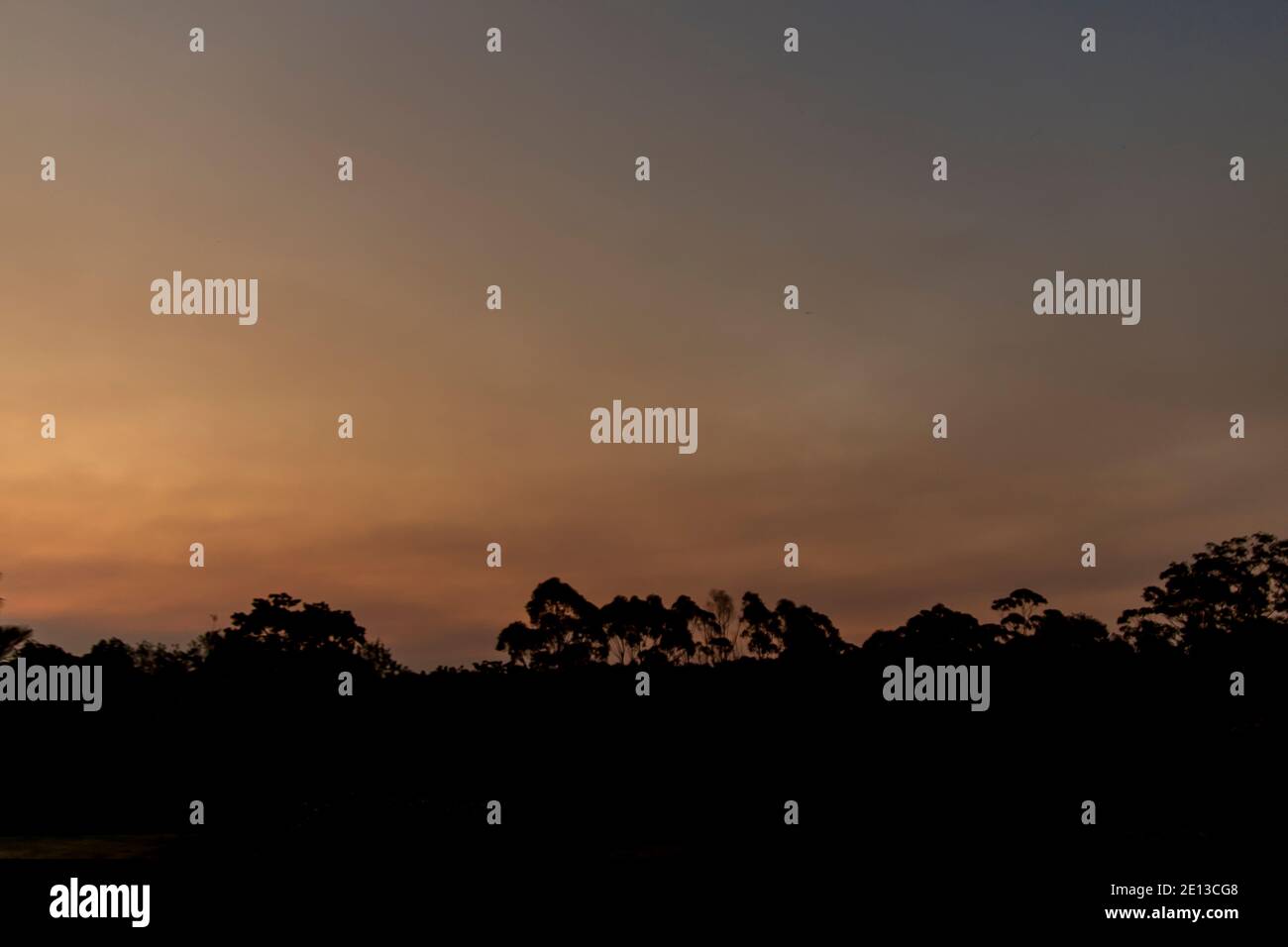 Brume fumée des feux de brousse australiens au coucher du soleil. Horizon sombre avec ciel gris discret. Tamborine Mountain, Queensland, Australie septembre 2019. Banque D'Images