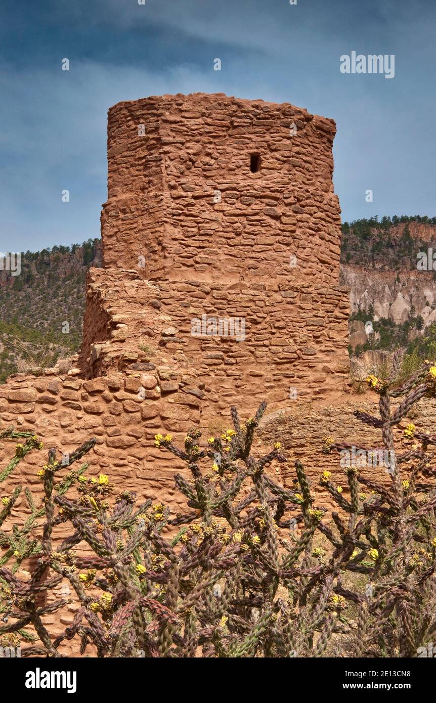 Ruines de l'église San Jose de los Jemez, cactus de la Jolla, monument national de Jemez, sources de Jemez, Nouveau-Mexique, États-Unis Banque D'Images