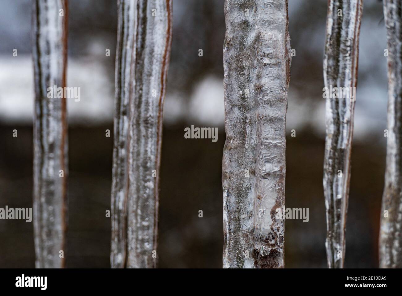 Sucer dans la rue en hiver froid 2021 Banque D'Images