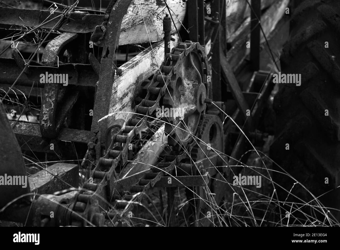 Anciennes machines agricoles dans le champ, épandeur de fumier des années 1950 Banque D'Images