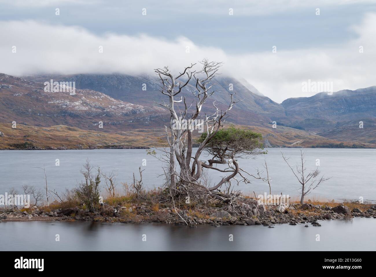 Île Loch Assynt et arbres Banque D'Images