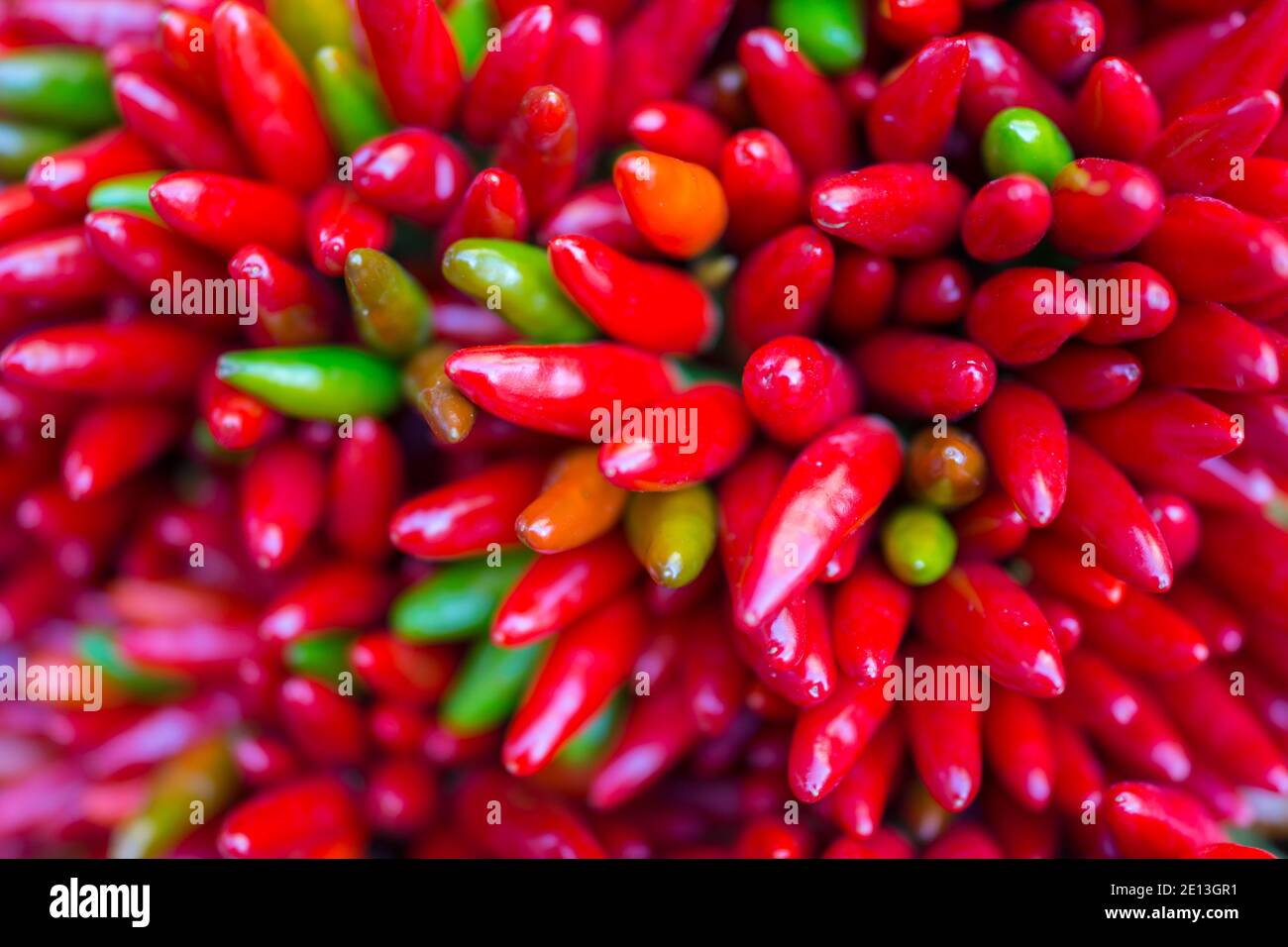 Piment de guinée Banque de photographies et d’images à haute résolution