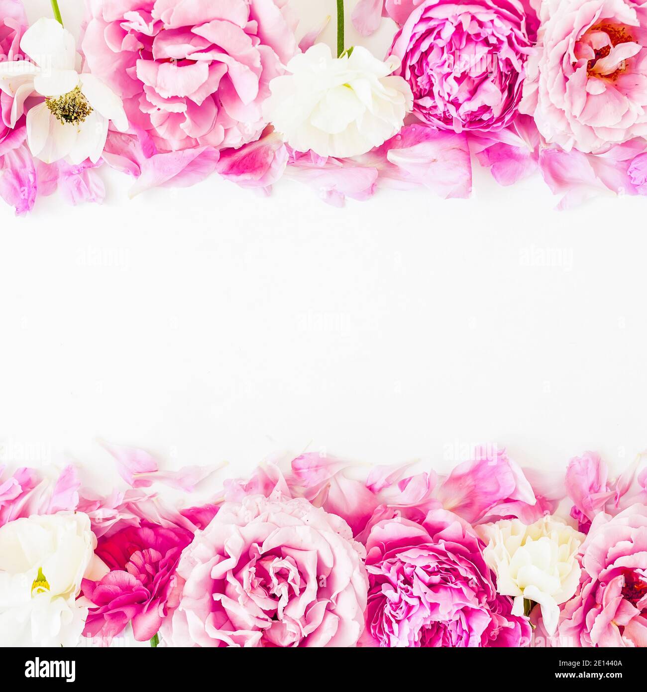 Cadre floral de roses roses, pivoines et anémones sur fond blanc. Flat Lay, vue de dessus Banque D'Images