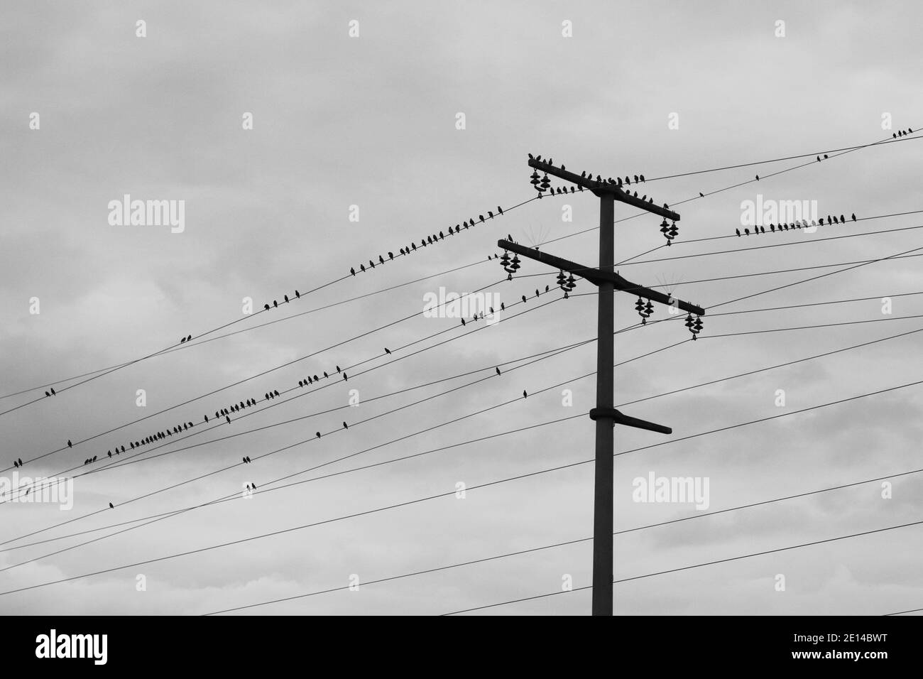 Électricité Banque D'Images