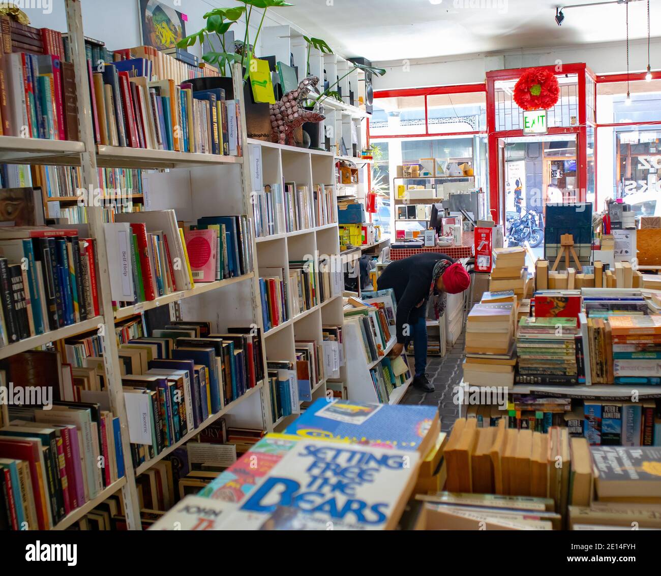 Observatoire - le Cap, Afrique du Sud - 02/12/2020 Livres blancs un après-midi tranquille. Magasin de livres bien trié et coloré à l'Observatoire. Banque D'Images