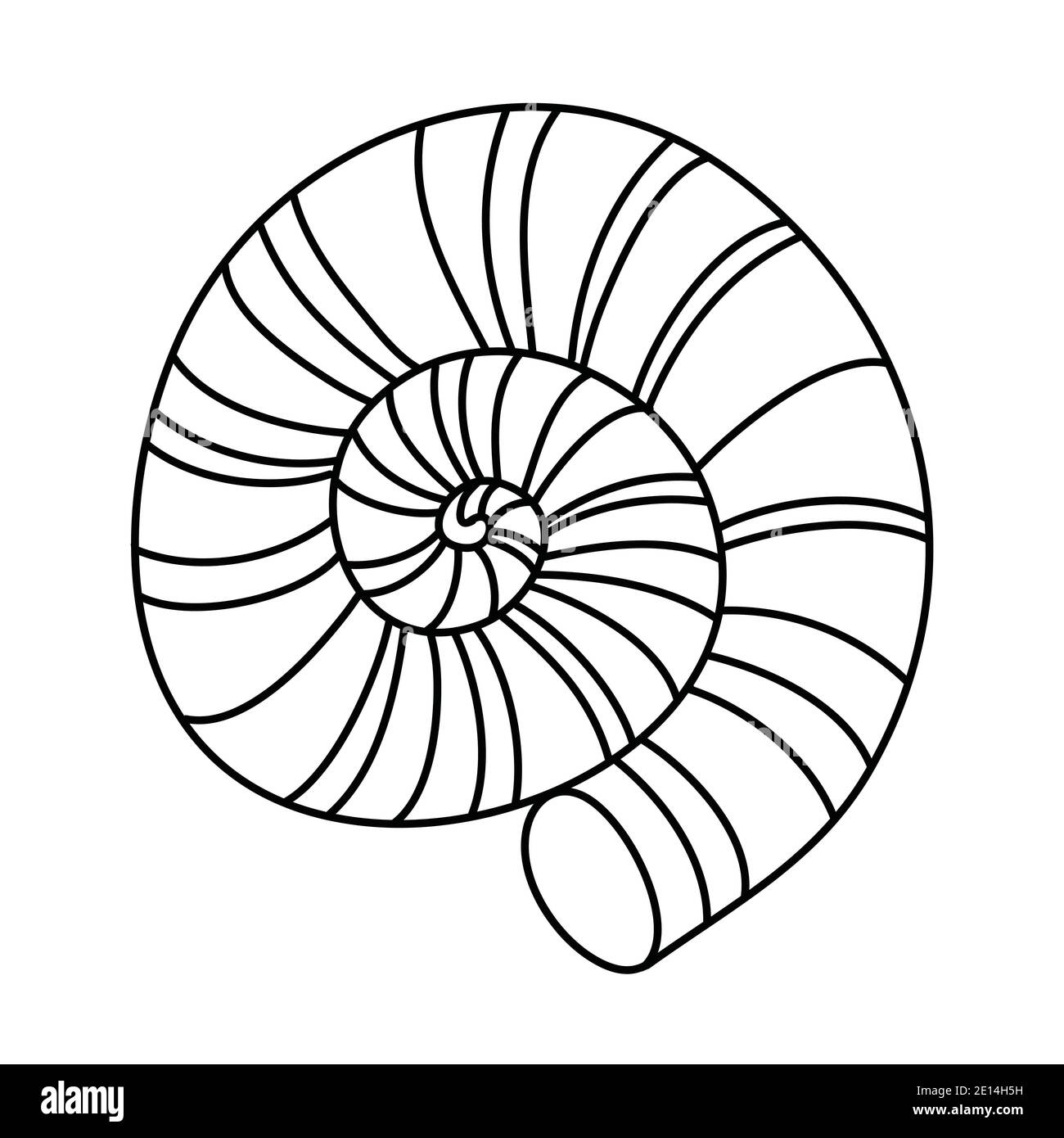 Moulinet rond, coquille de mollusque calcaire, illustration noire et blanche de vecteur de caniche dessinés à la main Illustration de Vecteur