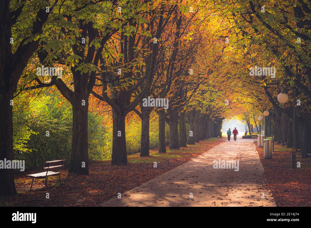 Un couple peut se promener lors d'une journée d'automne au parc Ufschötti de Lucerne, en Suisse Banque D'Images