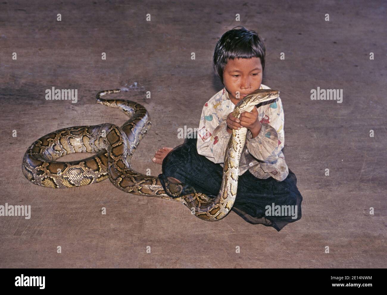 Monm, peut-on le garder ? Un jeune enfant cambodgien fonda un énorme ...
