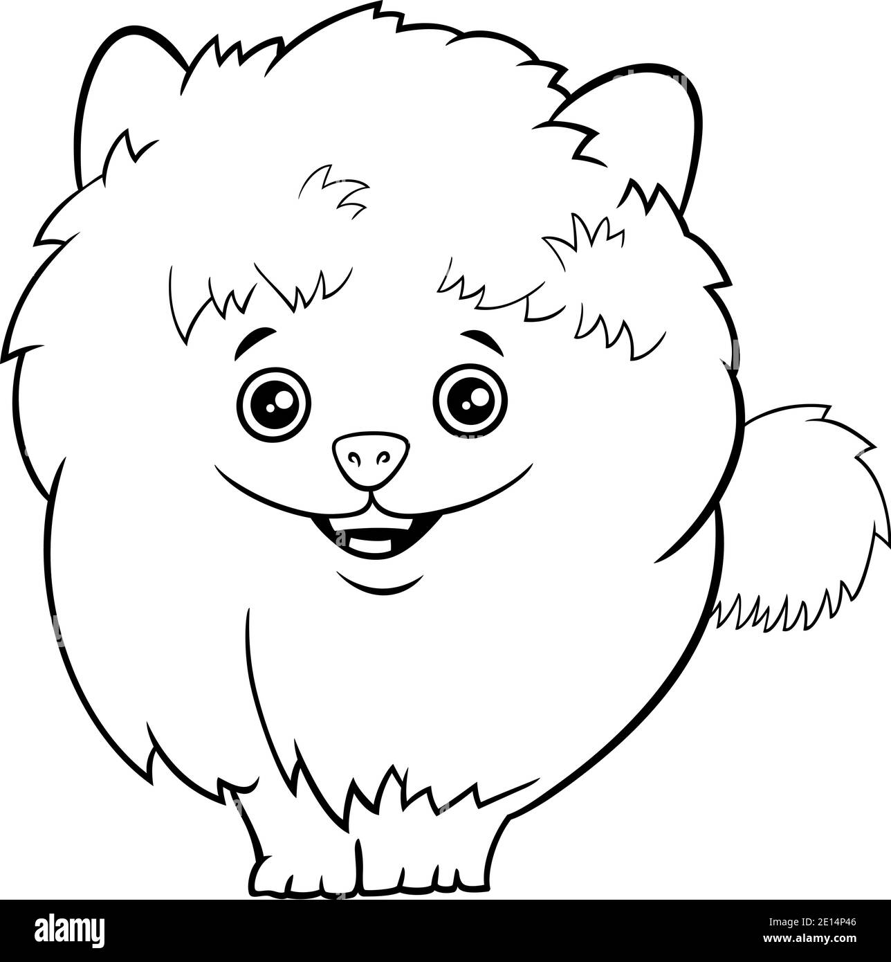 Illustration de dessin animé noir et blanc de mignon phaggy purebred pomeranian page de livre de coloriage pour chiots ou chiens Illustration de Vecteur