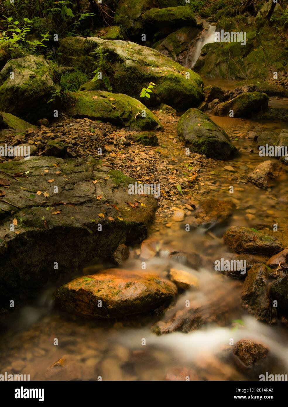 Longue exposition de petit ruisseau qui coule à travers la destination populaire de randonnée appelée le jardin de roche, situé dans un ravin environ 30 minutes en dessous du pic o Banque D'Images