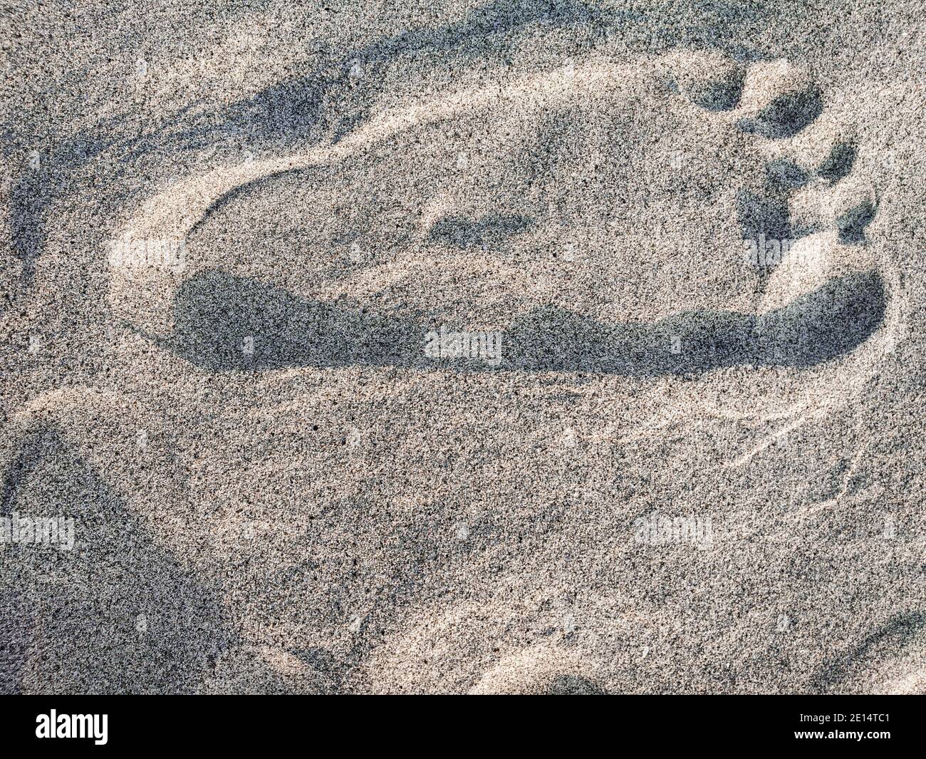 Texture background empreintes de pieds humains sur le sable près de l'eau sur la plage Banque D'Images