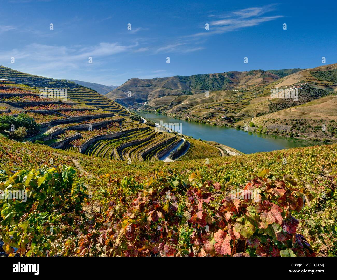Portugal, la vallée du Douro entre Peso da Regua et Pinhao Banque D'Images
