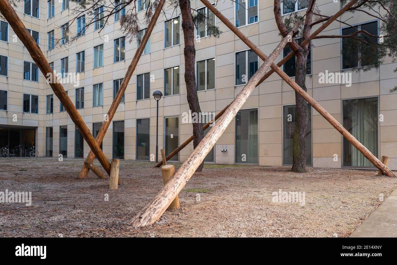 La poste en bois soutient UN arbre dans la ville Banque D'Images