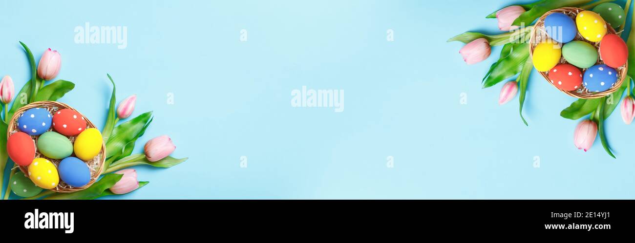 Oeufs de Pâques dans un panier, tulipes roses sur fond bleu. Bannière vue du dessus avec espace de copie plat poser carte de voeux. Banque D'Images