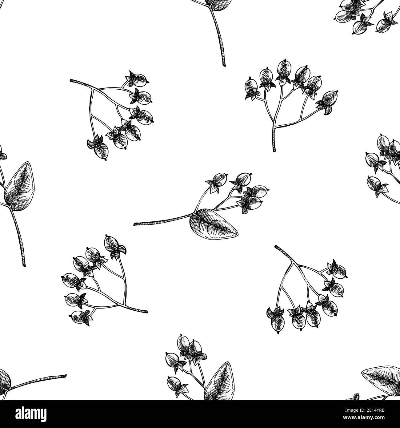 Motif sans couture avec hypericum noir et blanc Illustration de Vecteur Motif sans couture avec hypericum noir et blanc Illustration de Vecteur