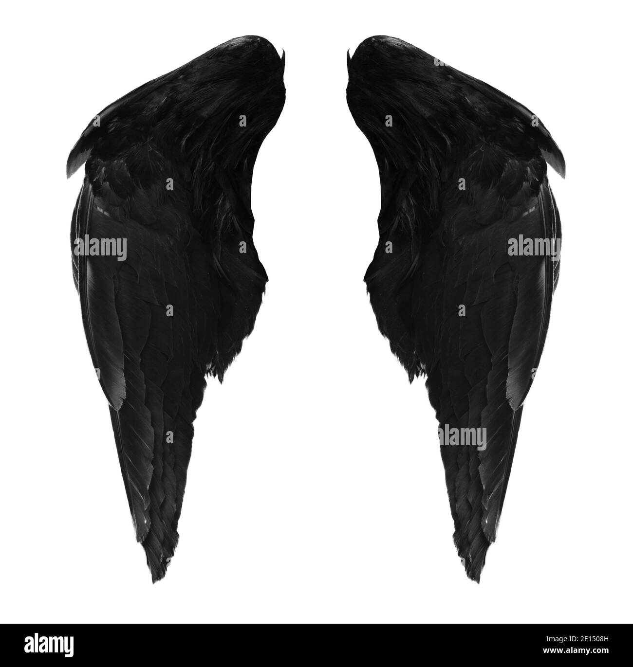 deux véritables ailes d'ange noires avec de grandes plumes isolées sur fond blanc, gros plan Banque D'Images
