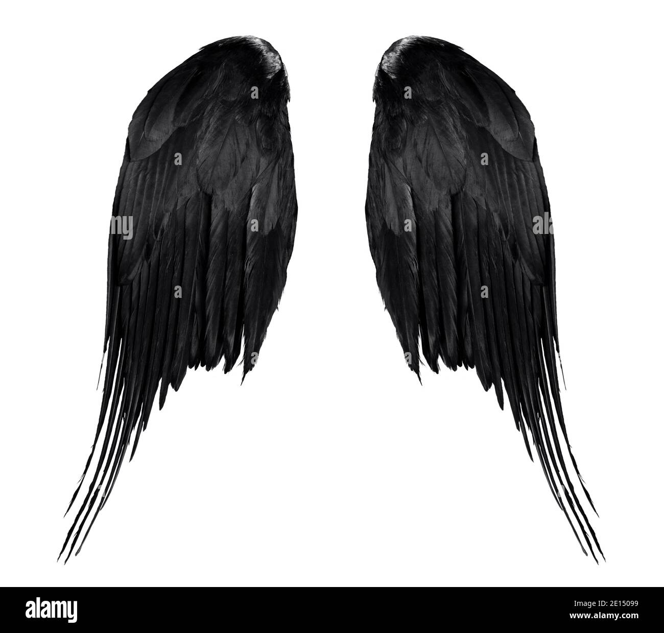 deux véritables ailes d'ange noires avec de grandes plumes isolées sur fond blanc, gros plan Banque D'Images
