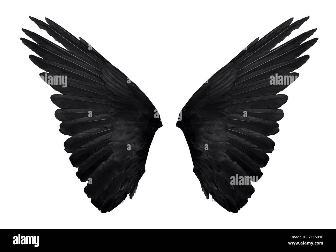 deux véritables ailes d'ange noires avec de grandes plumes isolées sur fond blanc, gros plan Banque D'Images