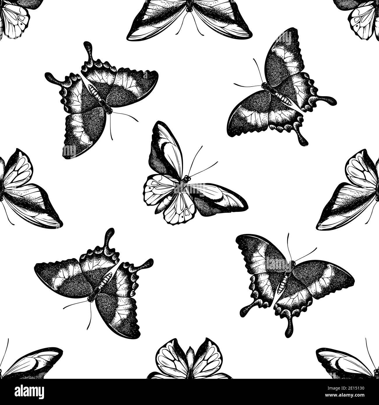 Motif sans couture avec aileron d'or noir et blanc de wallace, queue d'allowtail émeraude, papillon à queue d'allowtail Illustration de Vecteur