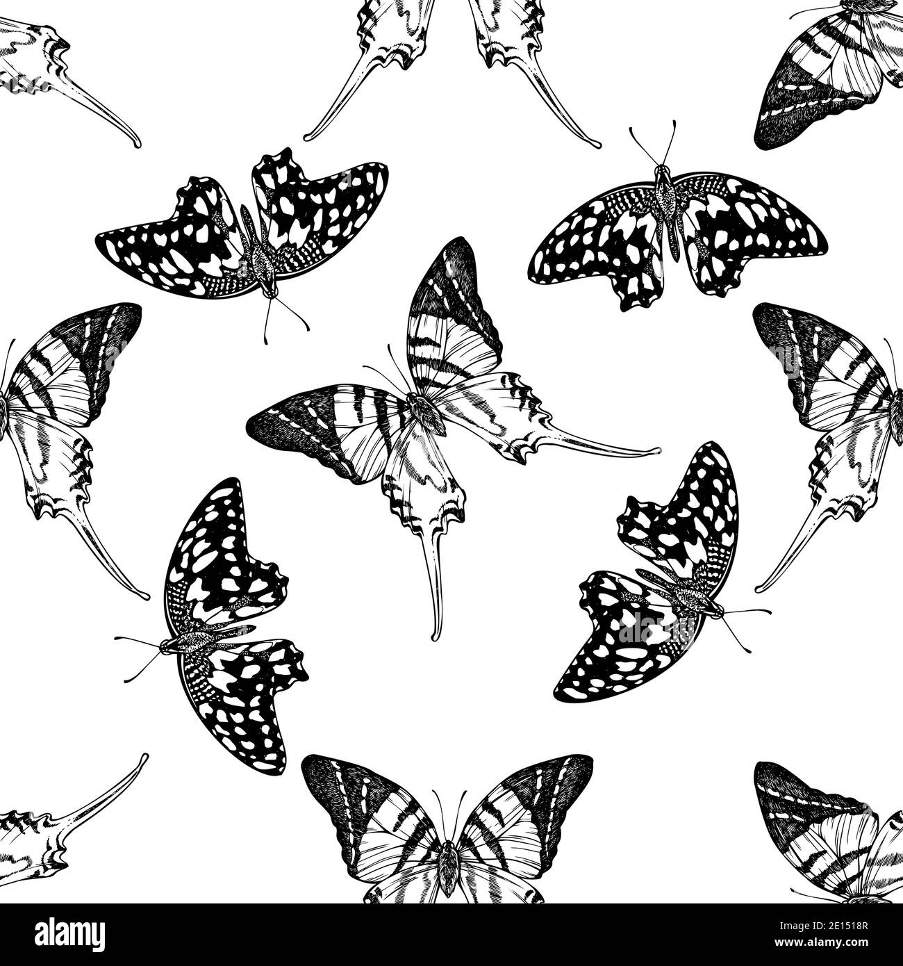 Motif sans couture avec espadon géant noir et blanc, papillon citron Illustration de Vecteur
