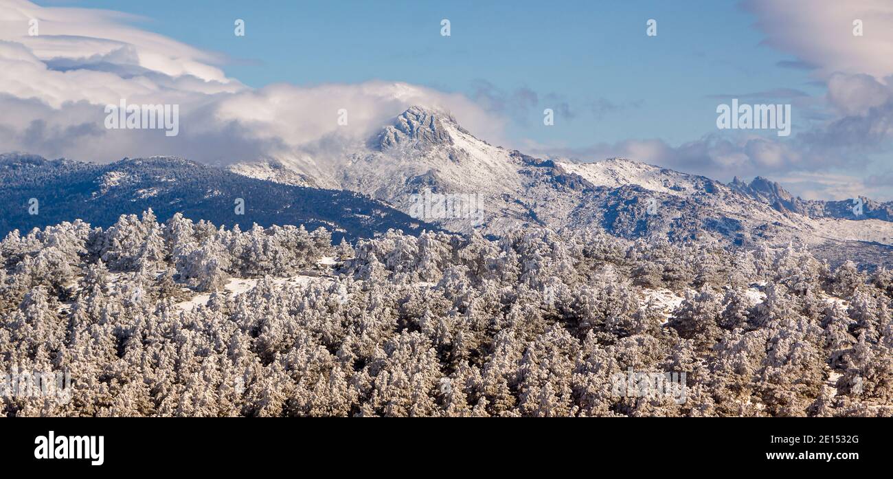 Paysage enneigé de la Sierra de Guadarrama, entre Madrid et Ségovie. Panoramique avec forêt gelée et ciel bleu. Dans la nation Sierra de Guadarrama Banque D'Images