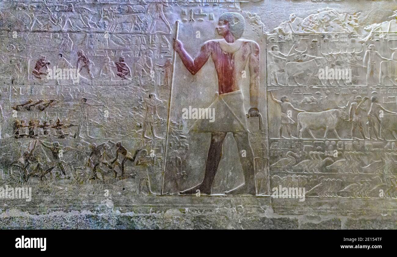Scène le côté nord du mur est de la zone de Ptahhotep dans mastaba D64. Ptahhotep est montré de taille normale portant un grand collier avec perles et pendentif Banque D'Images