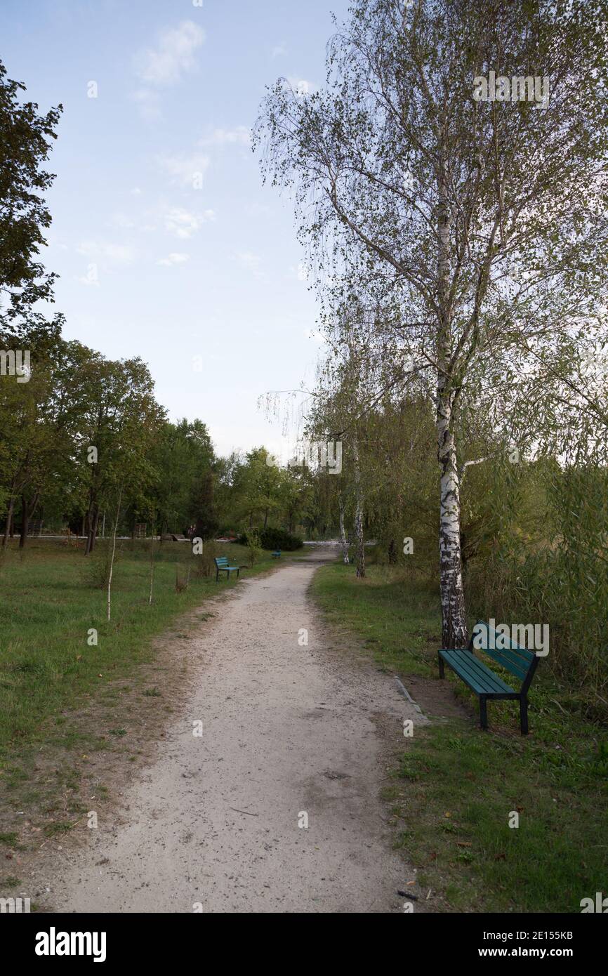 Un chemin dans le parc avec des ornithologues et des banches. C'est un beau paysage. Chisinau, République de Moldova. Banque D'Images