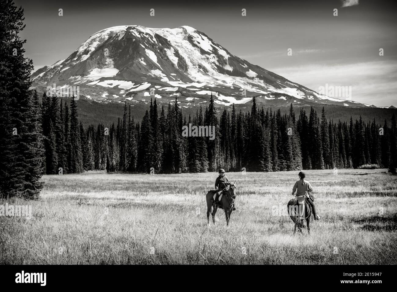 WA17636-00-BW..... WASHINGTON - cavaliers sur la piste Muddy Meadows Trail avec Mount Adams en arrière-plan, forêt nationale Gifford Pinchot. Banque D'Images