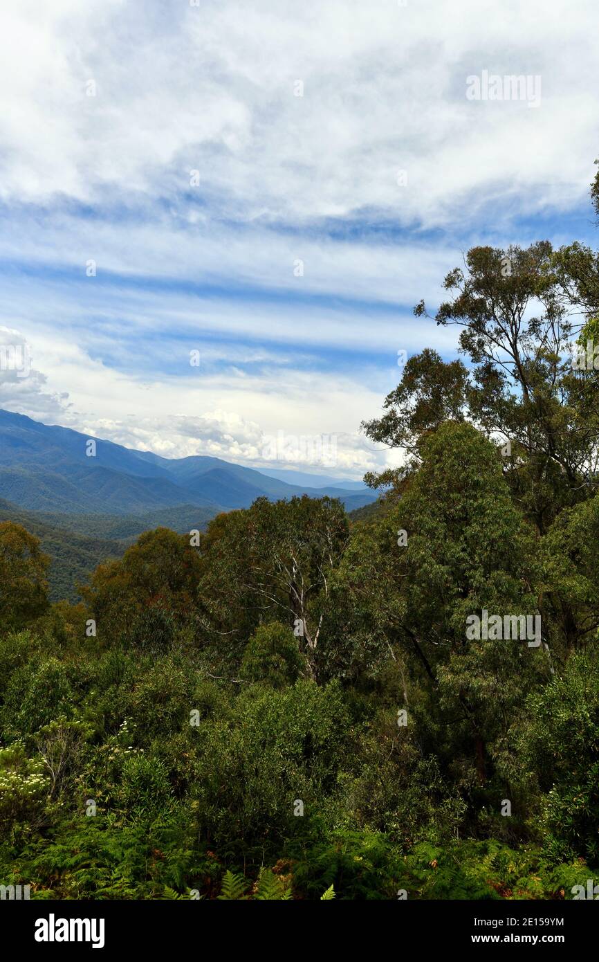 Vue sur le point de vue de Scammells dans les Snowy Mountains of Australie Banque D'Images