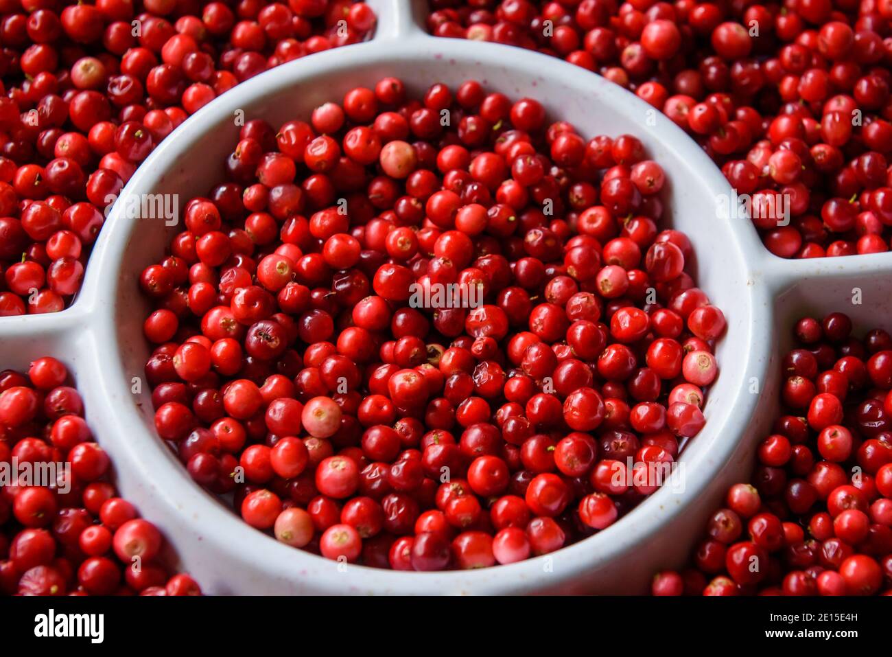 Baie de lingonberry sur une assiette blanche. Banque D'Images