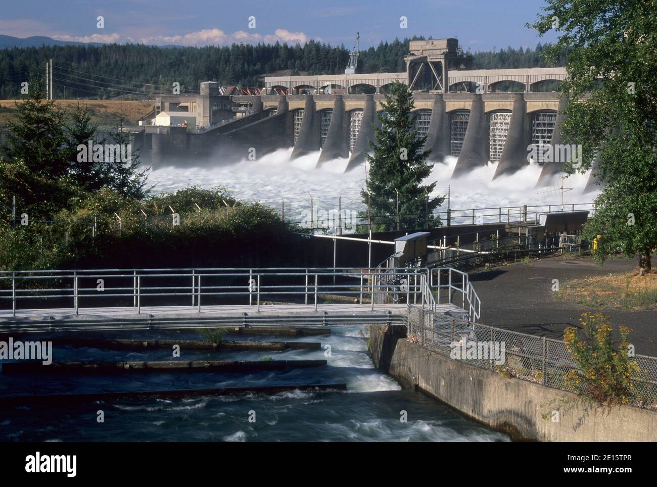 Barrage de Bonneville, Columbia River Gorge National Scenic Area, New York Banque D'Images