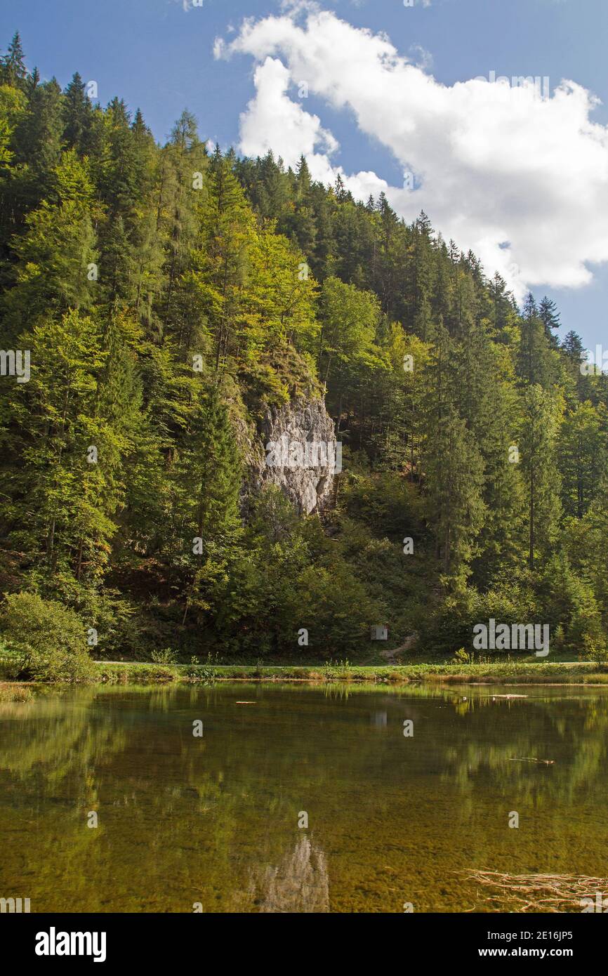 Le Wiesensee, UN petit lac de montagne idyllique entre Pillersee et Hochfilzen est situé dans la partie orientale de l'État du Tyrol Banque D'Images