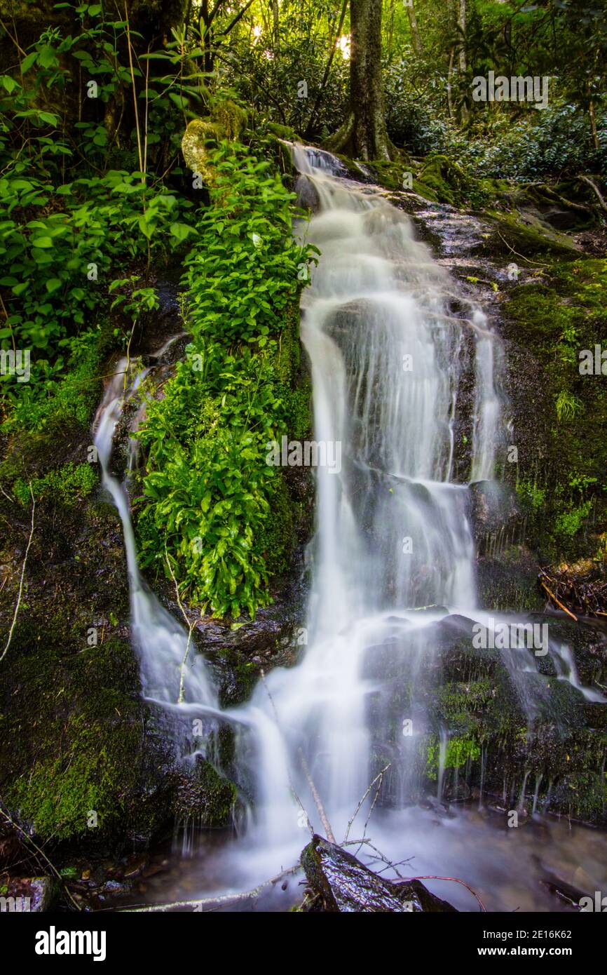 Super chute d'eau des montagnes Smoky. L'eau se précipite sur la falaise lors d'une chute d'eau saisonnière au printemps dans le parc national des Great Smoky Mountains. Banque D'Images