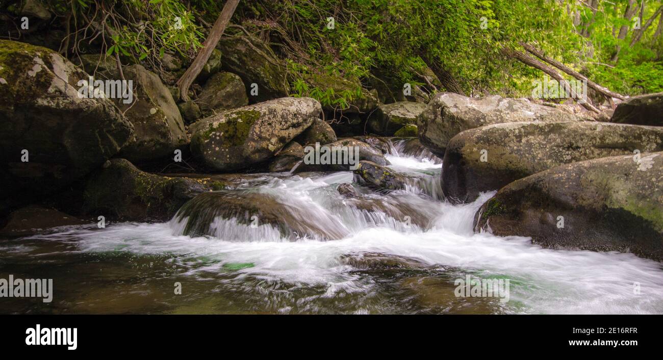 Panorama sur les chutes d'eau des Great Smoky Mountains. Une forêt luxuriante et un ruisseau de montagne aux eaux cristallines jonque le parc national des Great Smoky Mountains dans le Tennessee. Banque D'Images