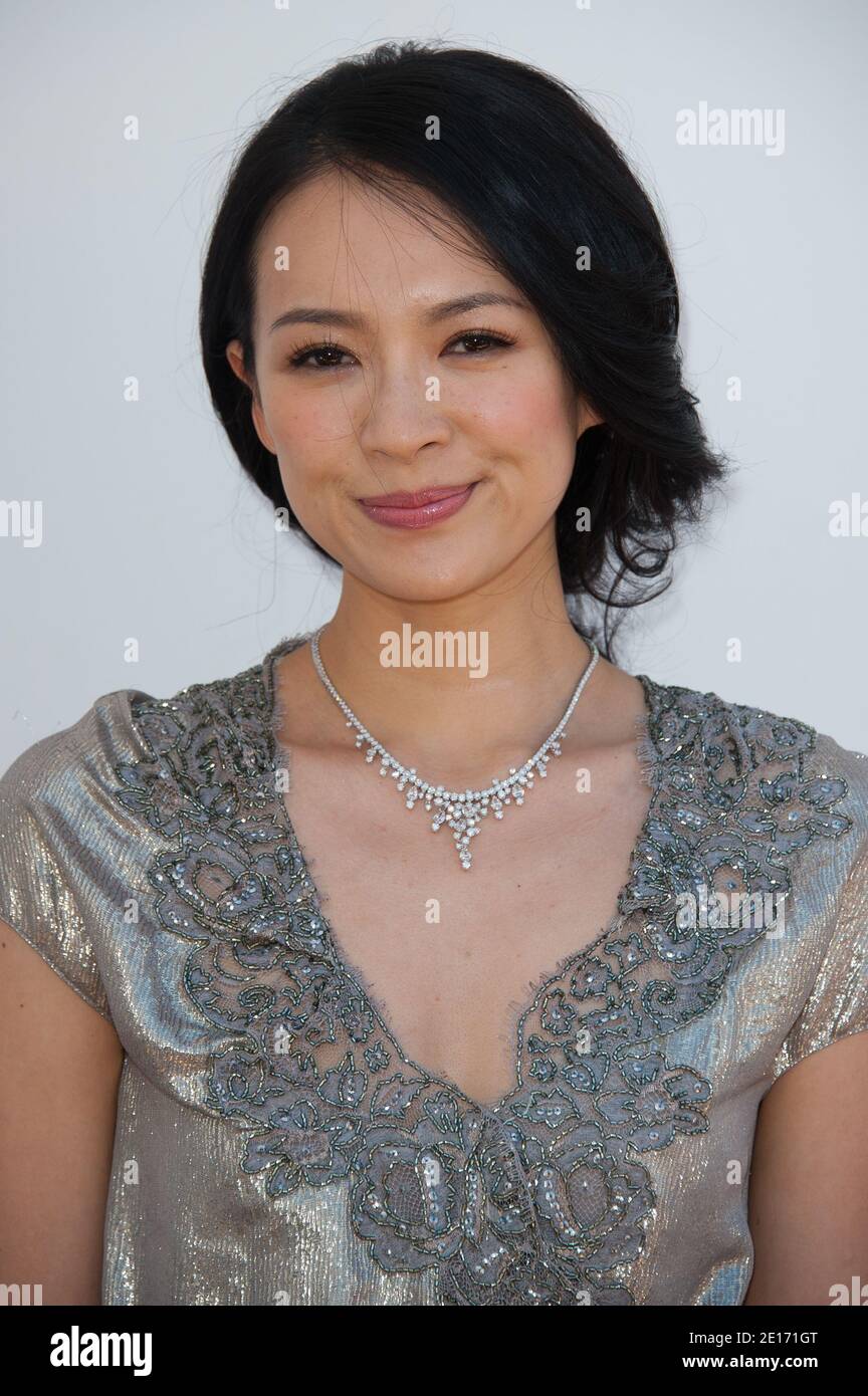 L'actrice Zhang Ziyi pose à un photocall lors du 64ème Festival annuel du film de Cannes au Majestic Hotel le 20 mai 2011 à Cannes, en France. Photo de Hahn-Nebinger-Genin/ABACAPRESS.COM Banque D'Images