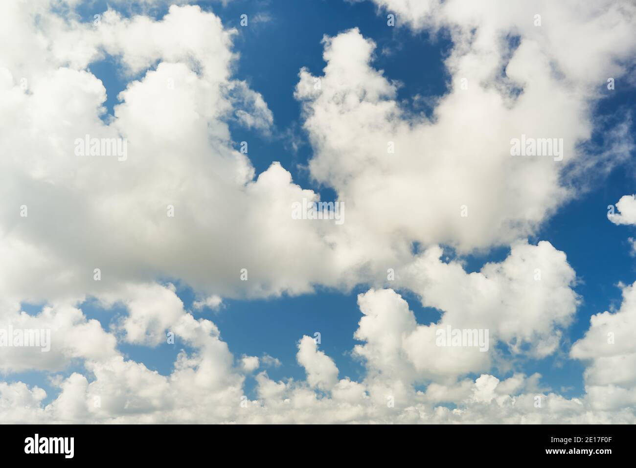 Nuages blancs moelleux sur ciel bleu. Arrière-plan de la nature. Banque D'Images