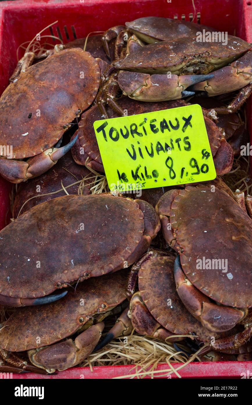 Crabes vivants à vendre sur un marché de Deauville, en Normandie Banque D'Images