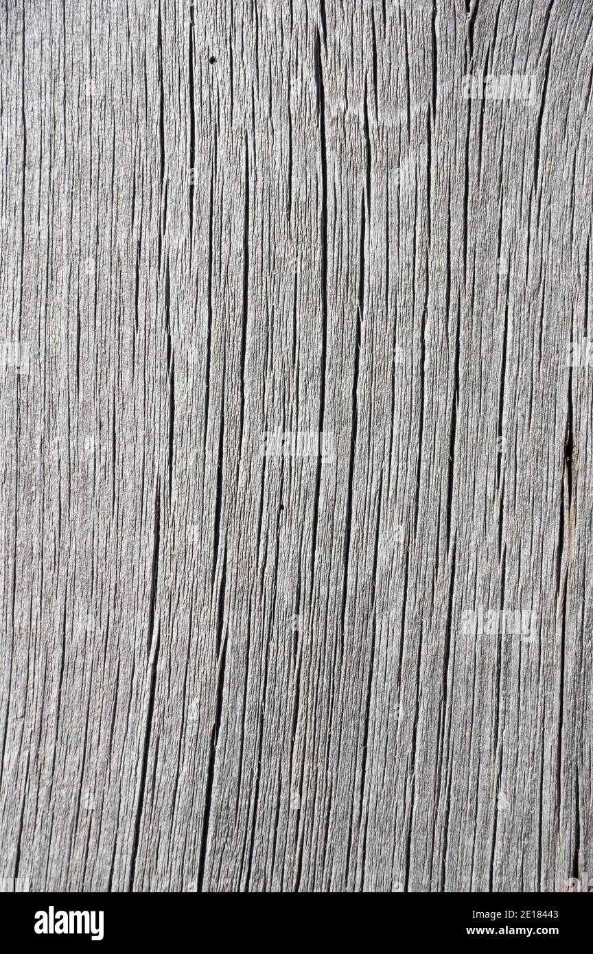 arrière-plan en bois gris d'un panneau de bois abîmé Banque D'Images