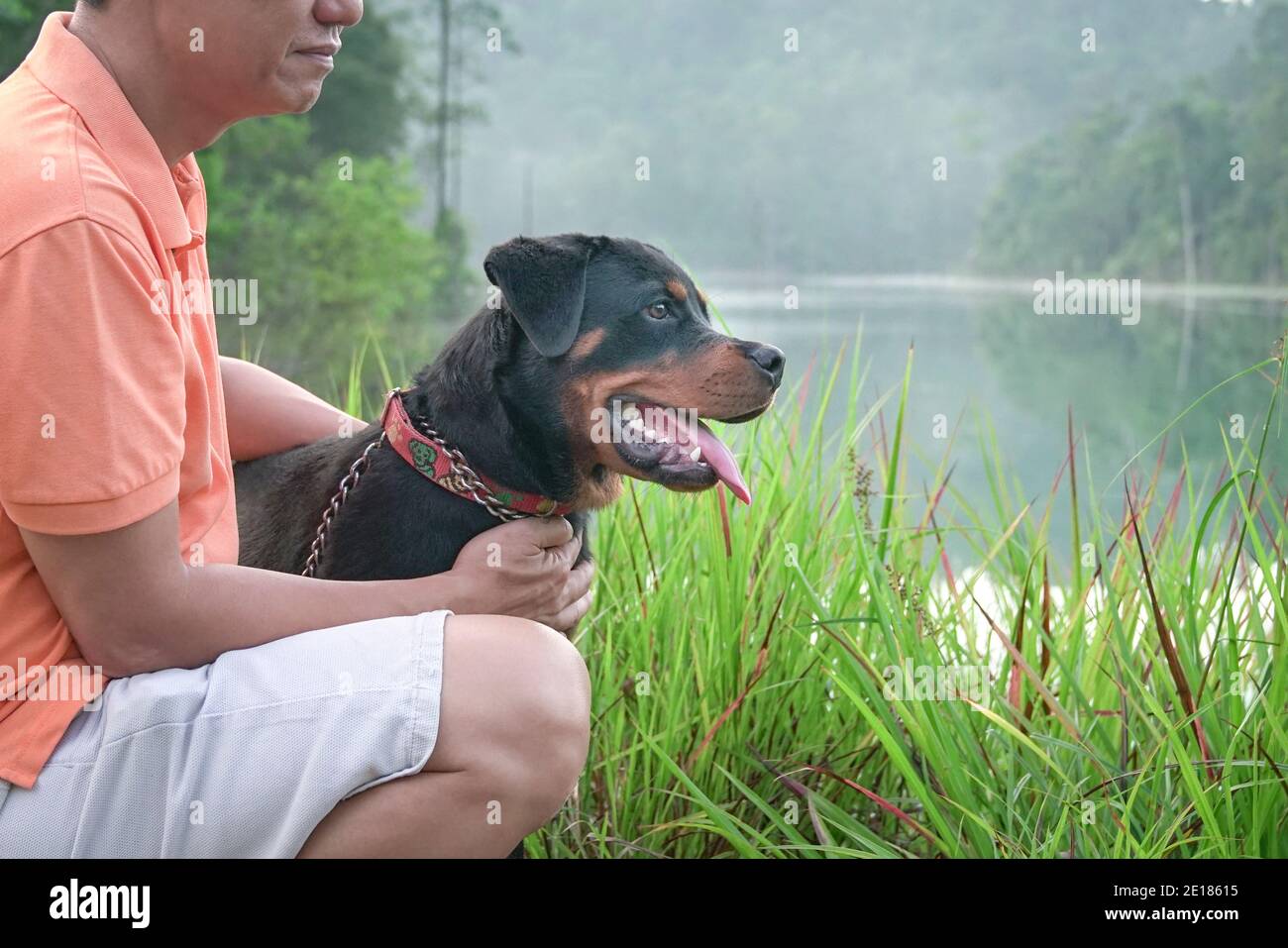 Portrait d'un chien et d'un homme du chiot rottweiler, vue latérale. Nature et fond de lac. Banque D'Images