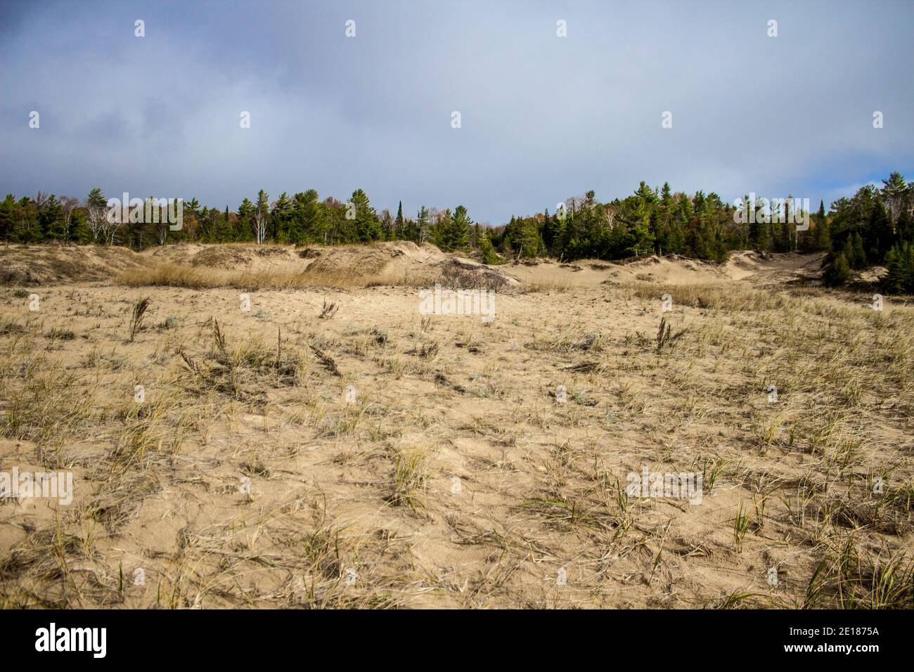 Paysage des dunes de sable des Grands Lacs. Rare écosystème de dunes côtières d'eau douce sur la côte du lac Michigan au parc national Petoskey, au Michigan. Banque D'Images