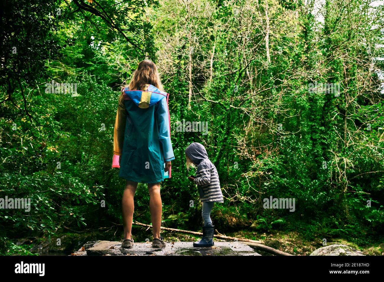 Une jeune mère et son enfant d'âge préscolaire sont debout dans le forêt Banque D'Images