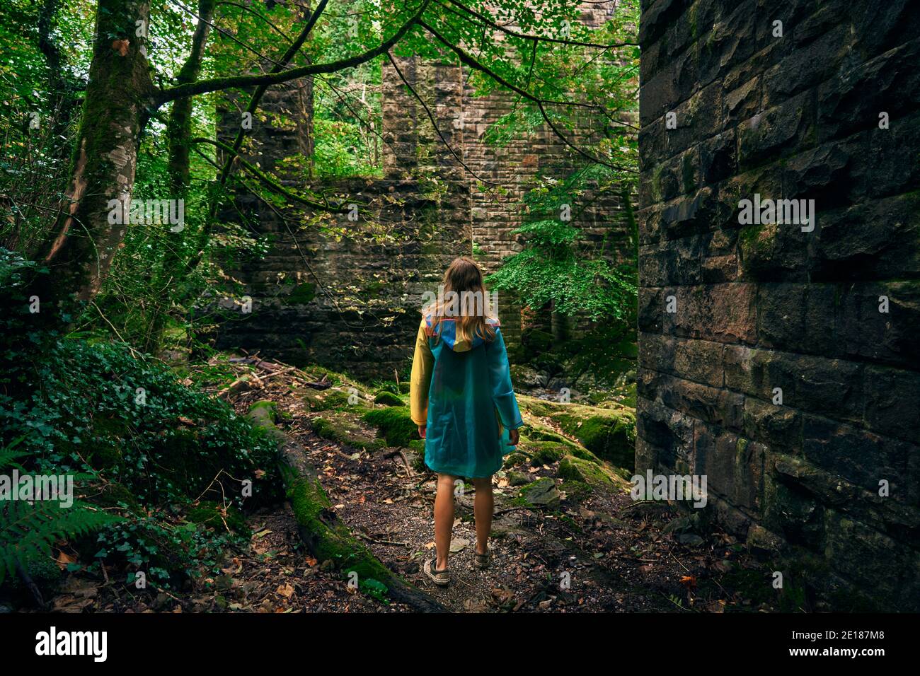 Une jeune femme marche dans la forêt par un mur en pierre Banque D'Images