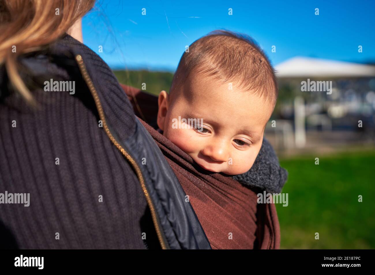 Une jeune mère est dans le parc avec son bébé dans une anse à bande le jour d'automne ensoleillé Banque D'Images