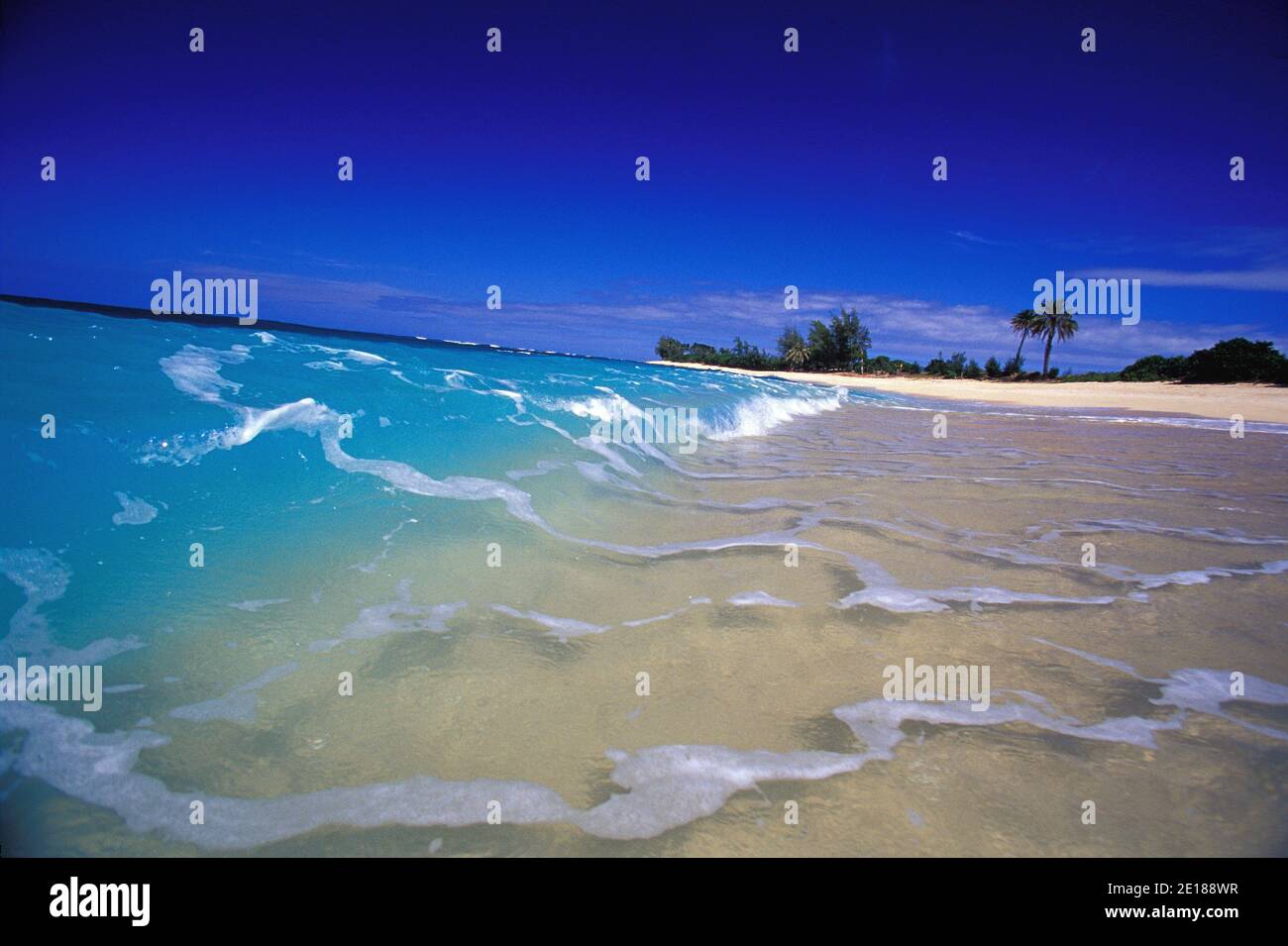 Waves breaking in clear blue water on white sand beach, Velzyland, North Shore, Oahu Banque D'Images