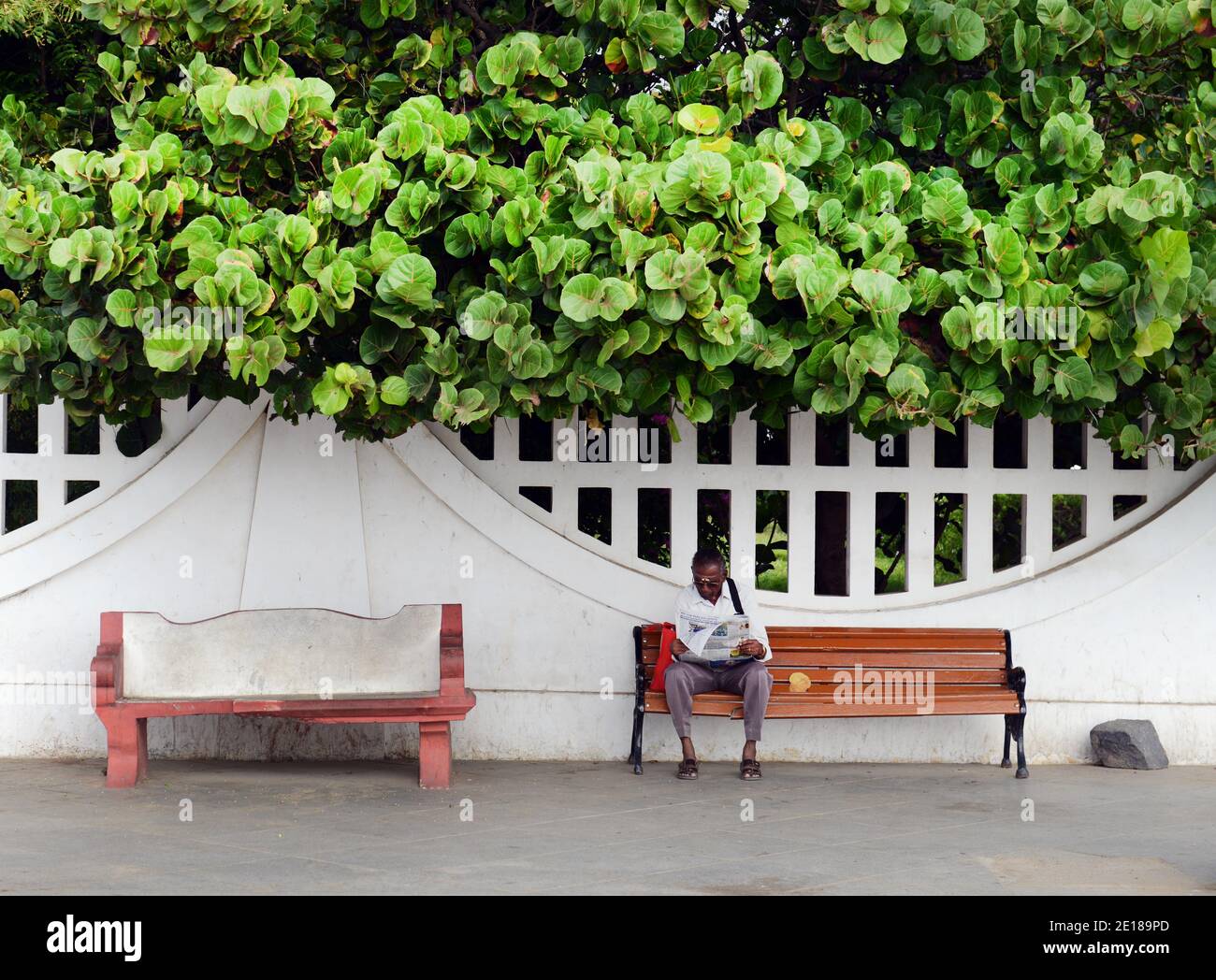 Repos et lecture du journal à Pondichéry, Inde. Banque D'Images