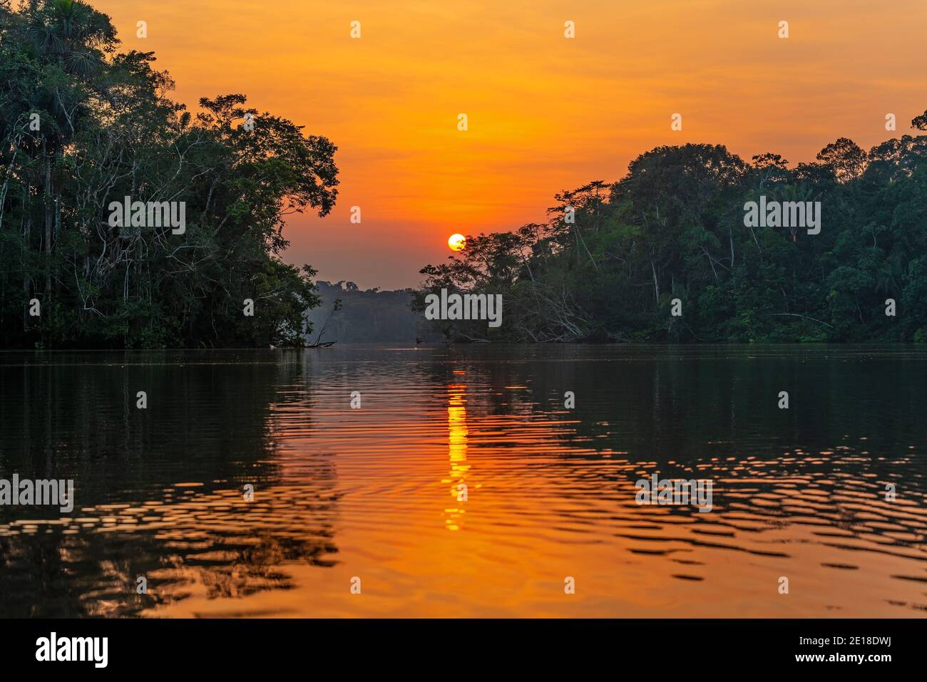 Coucher de soleil dans la forêt amazonienne. Le bassin amazonien comprend le Brésil, la Bolivie, la Colombie, l'Équateur, le Guyana, le Suriname, le Pérou et le Venezuela. Banque D'Images