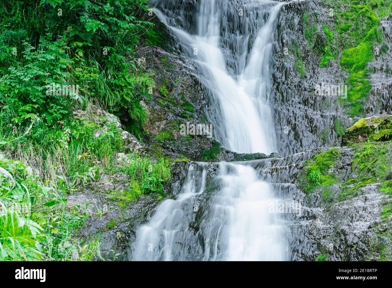 Vue sur la cascade dans la forêt tropicale. Ruisseau rapide parmi les roches et la mousse verte. Banque D'Images